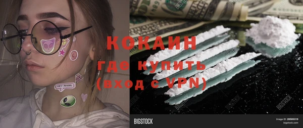 стаф Липки