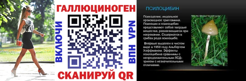 Псилоцибиновые грибы Magic Shrooms  ссылка на мегу ССЫЛКА  Шумиха  купить  